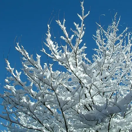 La Ladera Hoyos del Espino