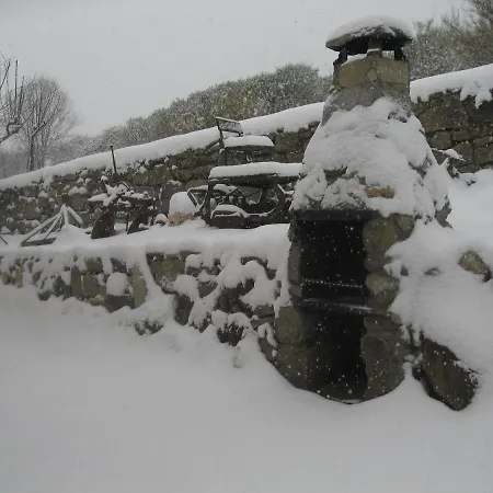 La Ladera * Hoyos del Espino