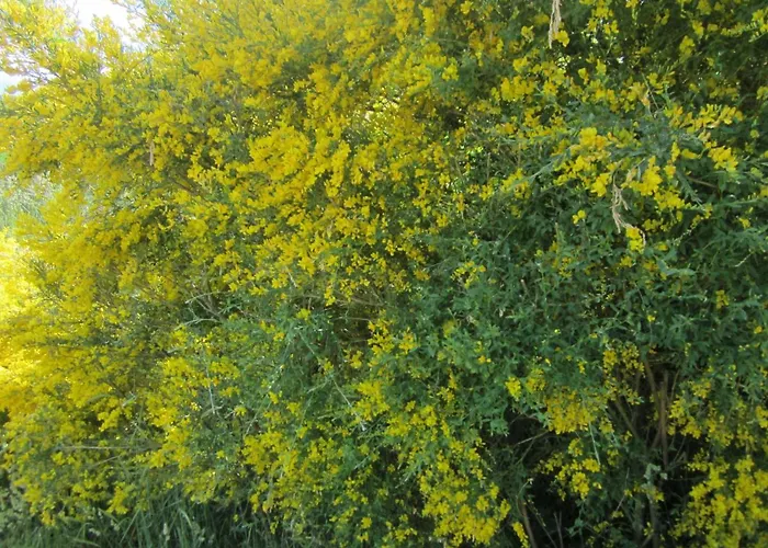 La Ladera Holiday home