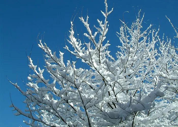 La Ladera 요요스델에스피뇨